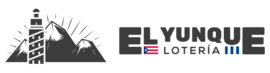 dev-panel.loteriaelyunque.es